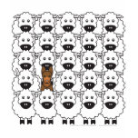 Australian Kelpie in the Sheep t-shirts