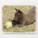 Australian Kelpie pup 9P022D-010 Mouse Pad