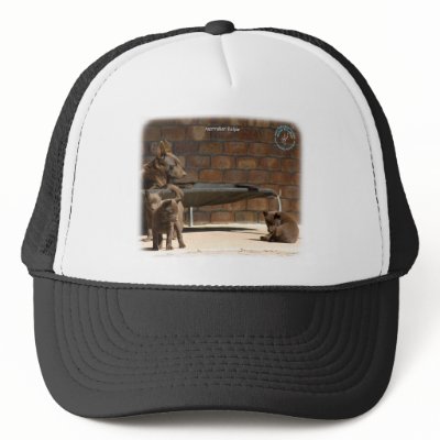 Australian Kelpie with pups 9P022D-046 Mesh Hat by TraffordPhotos