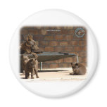 Australian Kelpie with pups 9P022D-046 Fridge Magnets