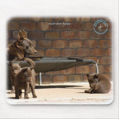 Australian Kelpie with pups 9P022D-046 Mouse Mats by TraffordPhotos