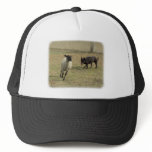Australian Kelpie with sheep 9P21D-331 Trucker Hats