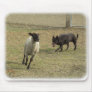 Australian Kelpie with sheep 9P21D-331 Mouse Pad