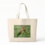 Australian King Parrots bags