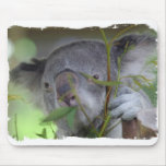 Australian Koala Mouse Pad