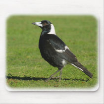 Australian Magpie 9P018D-039 Mouse Mats