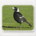 Australian Magpie 9P018D-039 mousepads