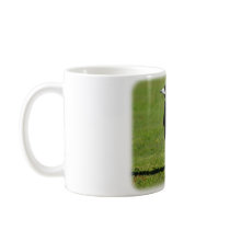 Australian Magpie 9P018D-039 Mugs