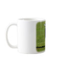 Australian Magpie 9P018D-039 mugs