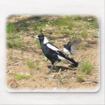Australian Magpie being mobbed by Willie Wagtail 9 Mouse Mat