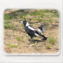 Australian Magpie being mobbed by Willie Wagtail 9 Mouse Mat