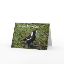 Australian Magpie Happy Birthday Card