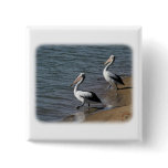 Australian Pelican 9Y185D-048 Button