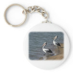 Australian Pelican 9Y185D-048 keychains