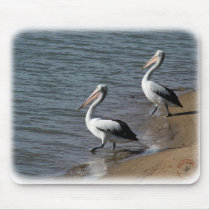 Australian Pelican 9Y185D-048 Mouse Mats
