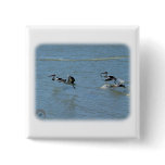 Australian Pelican 9Y185D-051 Pins