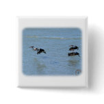 Australian Pelican 9Y185D-052 Button