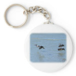 Australian Pelican 9Y185D-052 Key Chains