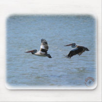 Australian Pelican 9Y185D-056 Mouse Pads