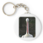 Australian Pelican 9Y209D-209 Key Chains