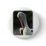 Australian Pelican 9Y209D-211 Button