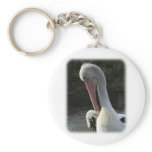 Australian Pelican 9Y209D-211 Keychains