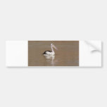 Australian Pelican Bumper Stickers