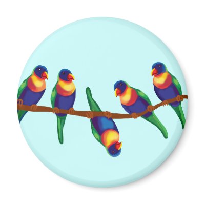 Australian rainbow lorikeets magnet by Annaart
