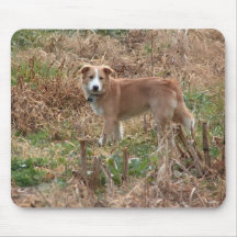 Australian Red Border Collie Mouse Mat