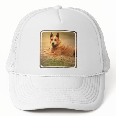Australian Red Cattle Dog Baseball Hat by DogPoundGifts