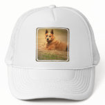 Australian Red Cattle Dog Baseball Hat
