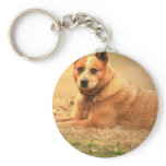 Australian Red Cattle Dog Keychain