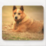 Australian Red Cattle Dog Mouse Pad