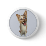 Australian Red Merle Shepherd Button