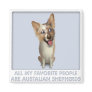 Australian Red Merle Shepherd Favourite