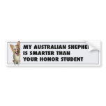 Australian Red Merle Shepherd Honour