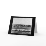 Australian Sheep Station 1902 cards