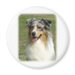 Australian Shepherd 9K008D-03_2 Fridge Magnets
