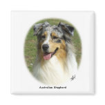 Australian Shepherd 9K008D-03 Fridge Magnets