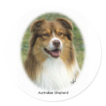Australian Shepherd 9K2D-17 Stickers