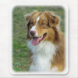 Australian Shepherd 9K4D-16_2 Mouse Mat
