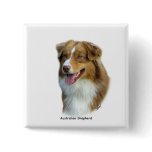 Australian Shepherd 9K4D-16 Pinback Buttons