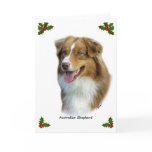 Australian Shepherd 9K4D-16 cards