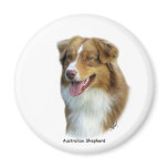 Australian Shepherd 9K4D-16 Magnets