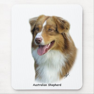 Australian Shepherd 9K4D-16 Mouse Mat by TraffordPhotos