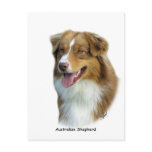 Australian Shepherd 9K4D-16 Postcard