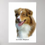 Australian Shepherd 9K4D-16 Print