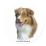 Australian Shepherd 9K4D-16 Stickers