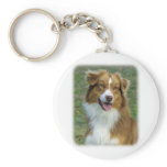 Australian Shepherd 9K5D-02_2 Keychains