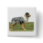 Australian Shepherd 9K7D-20 Button